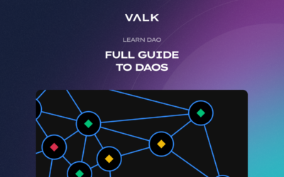 A Full Guide to DAOs