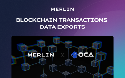 Blockchain Transactions Data Exports: Transforming Business Analytics and Decision Making